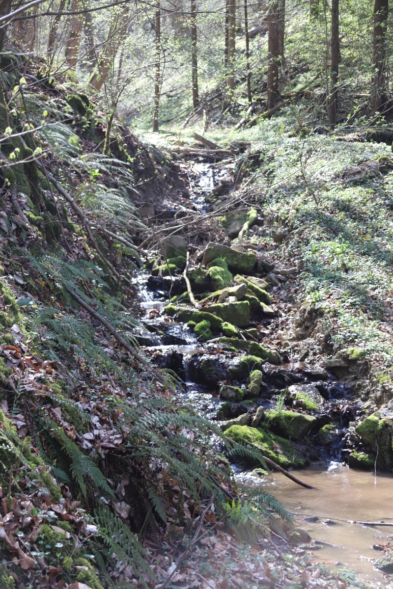 Um Züttlingen herum