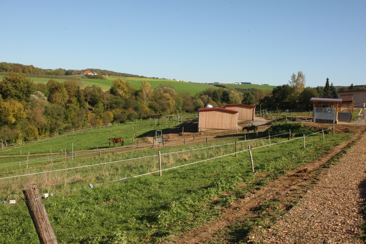 Impressionen aus dem Bewegungsstall