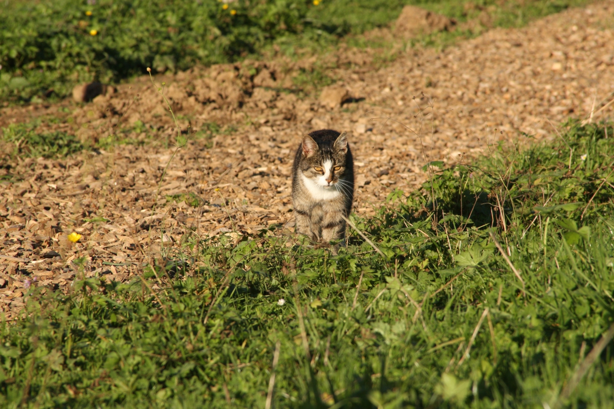 Impressionen aus dem Bewegungsstall