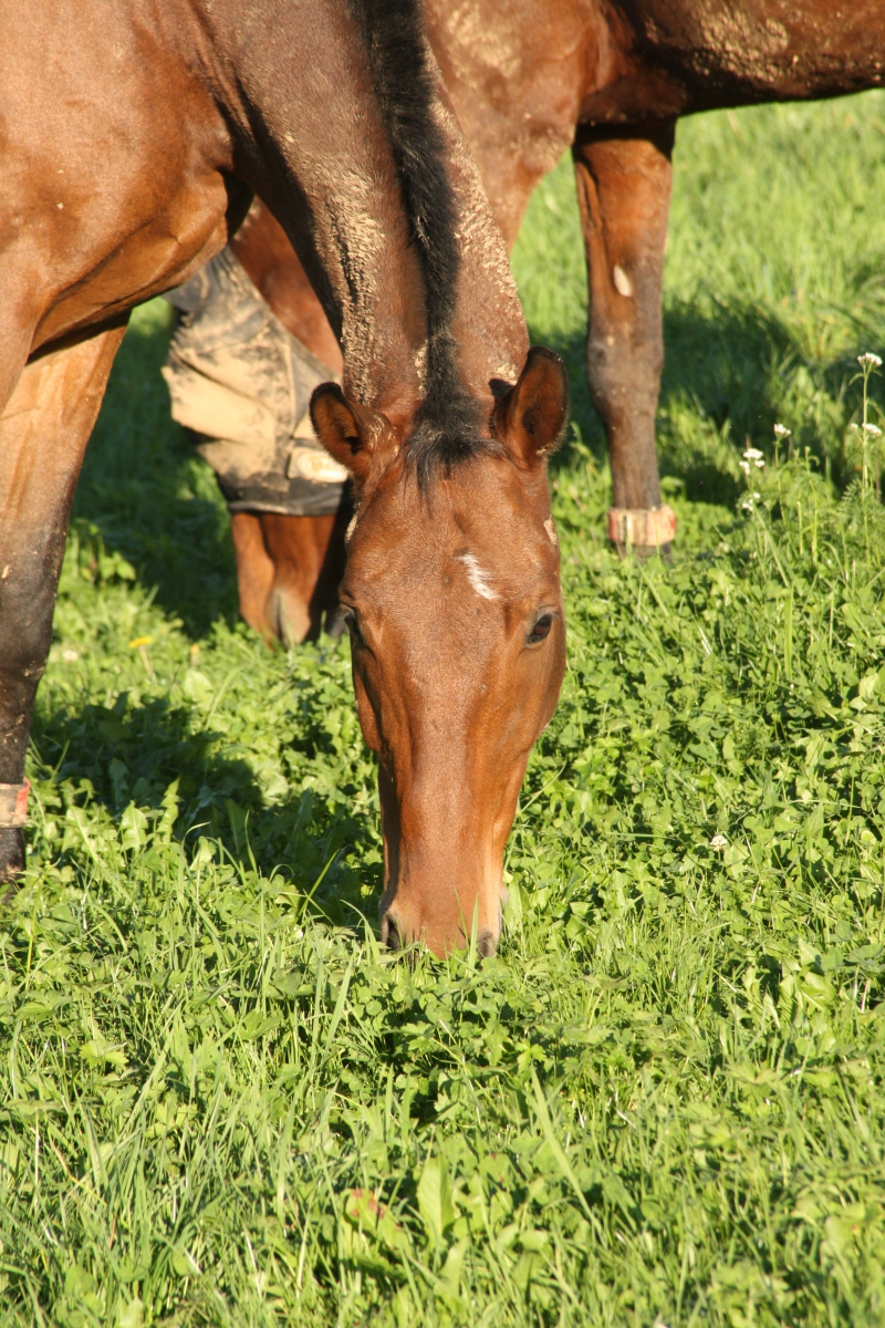 Impressionen aus dem Bewegungsstall